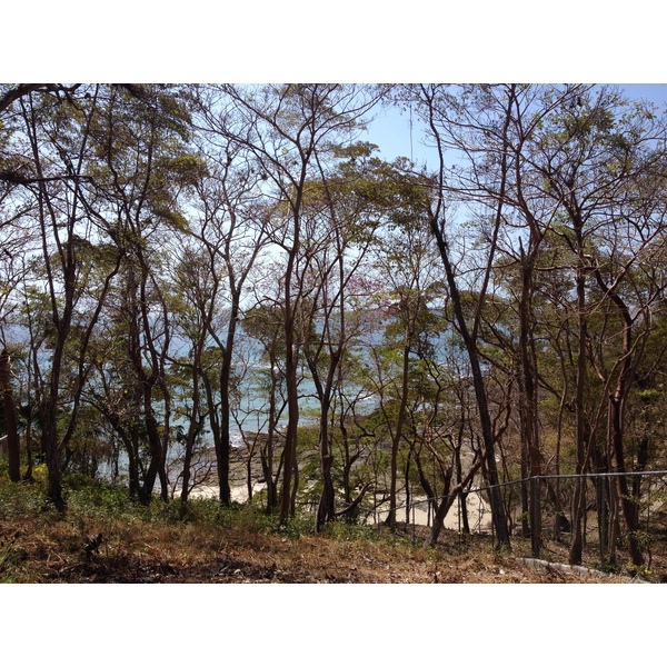 รูปถ่าย ปานามา(Panama) เกาะคอนตาโดรา(Contadora Island) 2015-03 80