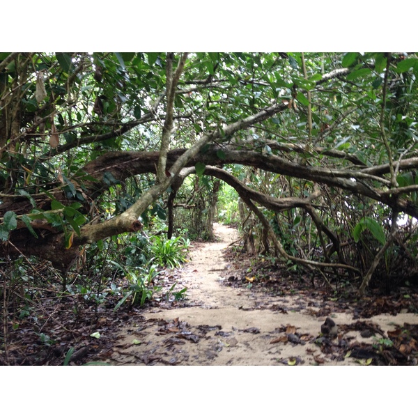 รูปถ่าย คอสตาริกา(Costa Rica) กาอุยตา(Cahuita) 2015-03 264