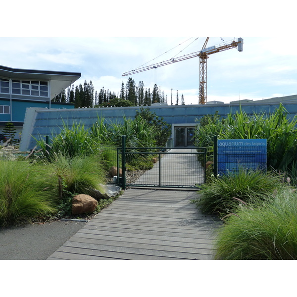 รูปถ่าย นิวแคลิโดเนีย(New Caledonia) นูเมอา(Noumea) 2010-05 11