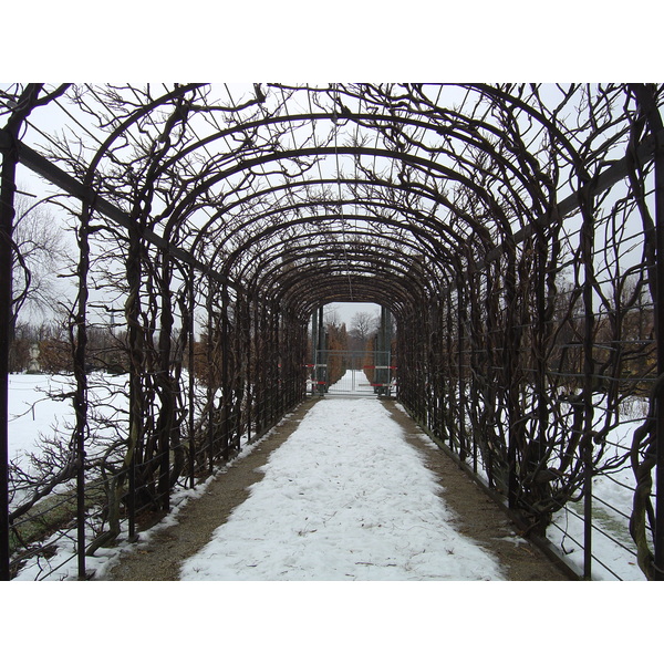 รูปถ่าย ออสเตรีย(Austria) เวียนนา(Vienna) 2005-03 51