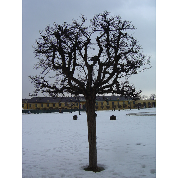 รูปถ่าย ออสเตรีย(Austria) เวียนนา(Vienna) 2005-03 7