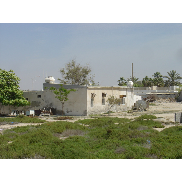 รูปถ่าย สหรัฐอาหรับเอมิเรตส์(United Arab Emirates) อุมม์อัลก็อยวัยน์(Umm al Quwain) 2005-03 10