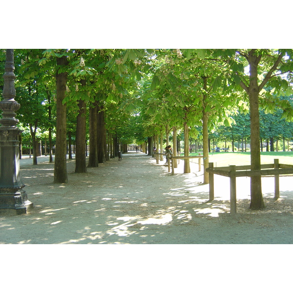 รูปถ่าย ฝรั่งเศส(France) ปารีส(Paris) สวนตุยเลอรี(Garden of Tuileries) 2007-05 205