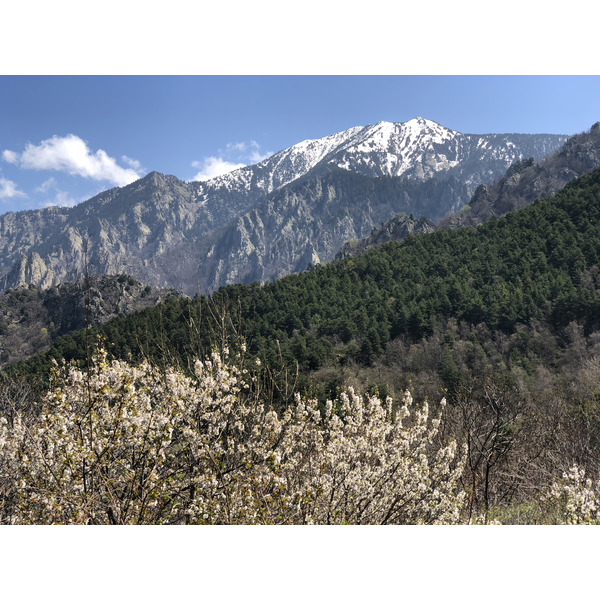 รูปถ่าย ฝรั่งเศส(France) แอบบีแซ็งมาร์แต็งดูกานีกู(Abbaye Saint Martin du Canigou) 2018-04 192