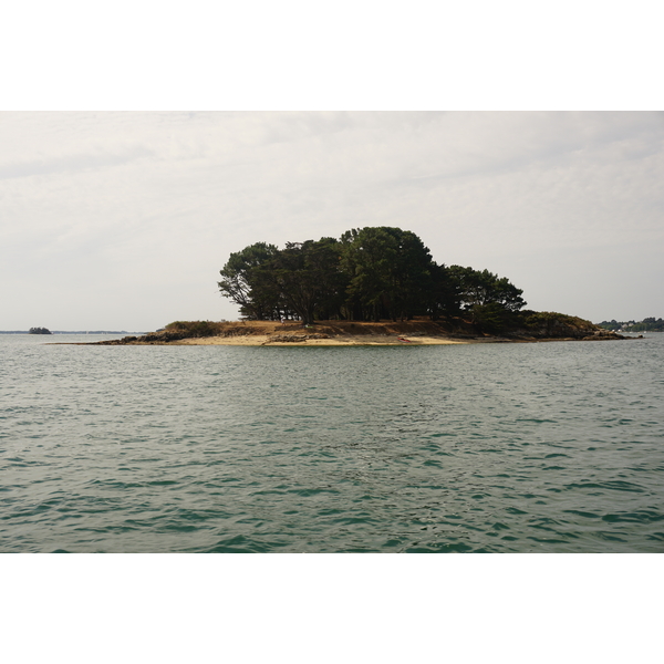 รูปถ่าย ฝรั่งเศส(France) อ่าวมอร์บีอ็อง(Golfe du Morbihan) 2016-08 62
