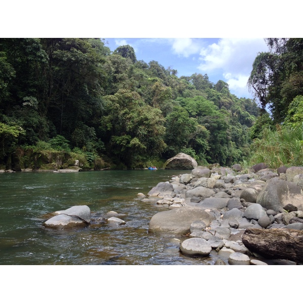 รูปถ่าย คอสตาริกา(Costa Rica) แม่น้ำปากัวเร(Pacuare River) 2015-03 41