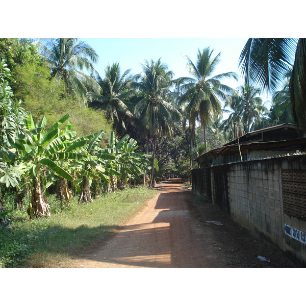 รูปถ่าย ไทย(Thailand) พิษณุโลก(Phitsanulok) 2008-01 36