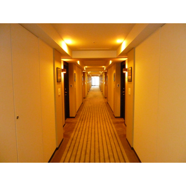 รูปถ่าย ญี่ปุ่น(Japan) โตเกียว(Tokyo) โรงแรมเบสต์เวสเทิร์นชินจูกุแอสตินา โตเกียว(Best Western Shinjuku Astina Hotel Tokyo) 2010-06 27