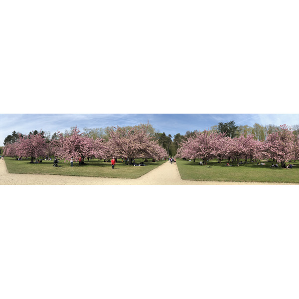 รูปถ่าย ฝรั่งเศส(France) สวนโซ(Parc de Sceaux) 2019-04 32