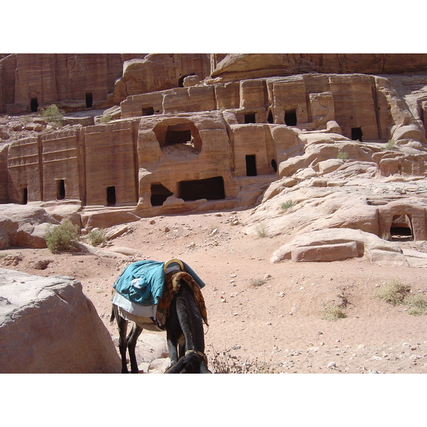 รูปถ่าย จอร์แดน(Jordan) เปตร้า(Petra) 2004-10 70