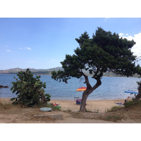 รูปถ่าย อิตาลี(Italy) ซาร์ดิเนีย(Sardinia) กอสตาสเมรัลดา(Costa Smeralda) 2015-06 38