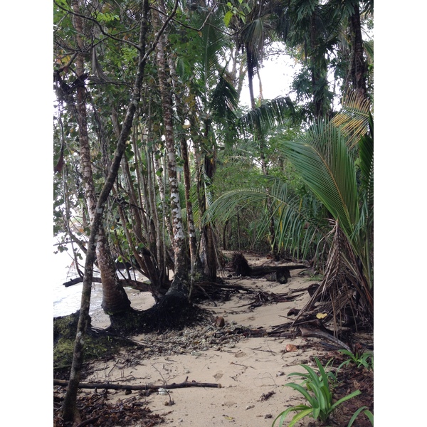รูปถ่าย คอสตาริกา(Costa Rica) กาอุยตา(Cahuita) 2015-03 12
