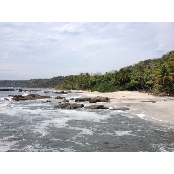 รูปถ่าย คอสตาริกา(Costa Rica) มอนเตซูมา(Montezuma) 2015-03 584