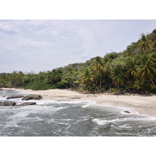 รูปถ่าย คอสตาริกา(Costa Rica) มอนเตซูมา(Montezuma) 2015-03 12