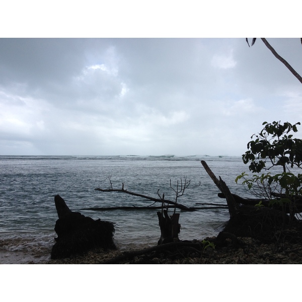 รูปถ่าย คอสตาริกา(Costa Rica) กาอุยตา(Cahuita) 2015-03 218