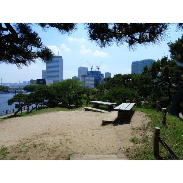 รูปถ่าย ญี่ปุ่น(Japan) โตเกียว(Tokyo) สวนฮามะริคิว(Hama rikyu Gardens) 2010-06 40