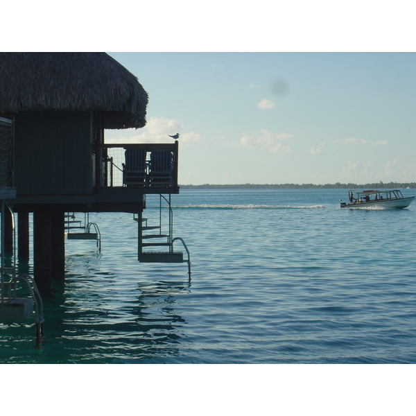 รูปถ่าย เฟรนช์โพลี่นีเซีย(Polynesia) โรงแรมเลอเมอริเดียน โบราโบรา(Meridien Bora Bora Hotel) 2006-04 186