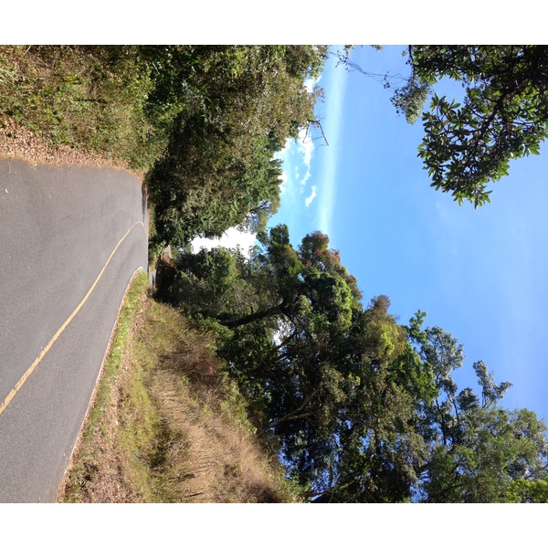 รูปถ่าย ปานามา(Panama) โบเกเต(Boquete) 2015-03 49