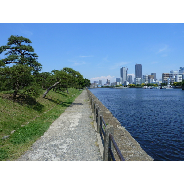 รูปถ่าย ญี่ปุ่น(Japan) โตเกียว(Tokyo) สวนฮามะริคิว(Hama rikyu Gardens) 2010-06 5