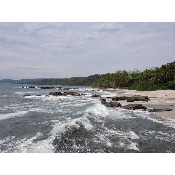 รูปถ่าย คอสตาริกา(Costa Rica) มอนเตซูมา(Montezuma) 2015-03 614