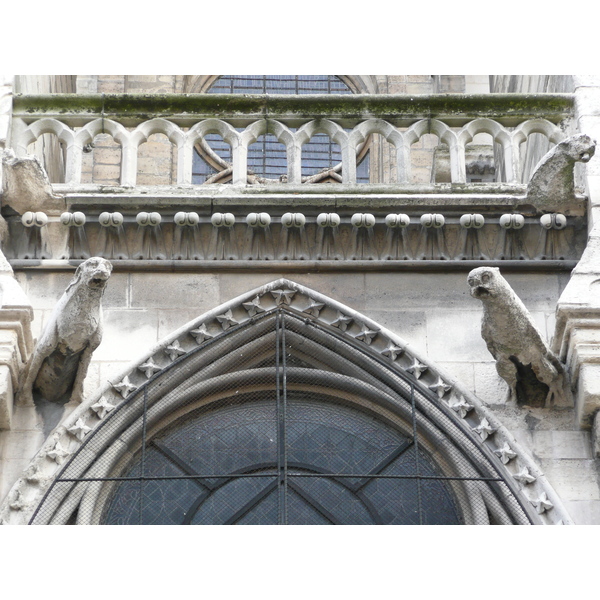 รูปถ่าย ฝรั่งเศส(France) ปารีส(Paris) มหาวิหารน็อทร์-ดาม(Notre Dame) 2007-05 137
