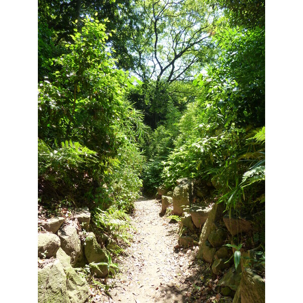 รูปถ่าย ญี่ปุ่น(Japan) โตเกียว(Tokyo) สวนฮามะริคิว(Hama rikyu Gardens) 2010-06 10