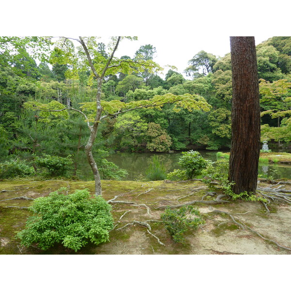 รูปถ่าย ญี่ปุ่น(Japan) เกียวโต(Kyoto) วัดคินกะกุจิ (ศาลาทอง)(Kinkakuji Temple(Golden Pavilion)) 2010-06 42