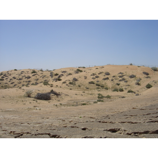 รูปถ่าย สหรัฐอาหรับเอมิเรตส์(United Arab Emirates) ถนนใกล้อาจแมน(Road near Ajman) 2005-03 4