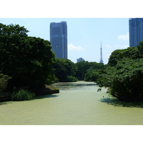 รูปถ่าย ญี่ปุ่น(Japan) โตเกียว(Tokyo) สวนฮามะริคิว(Hama rikyu Gardens) 2010-06 13