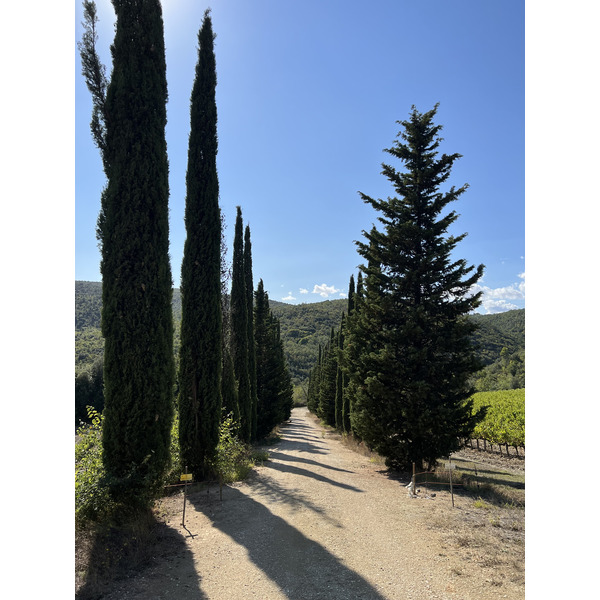 รูปถ่าย อิตาลี(Italy) ทัสคานี(Tuscany) 2021-09 13