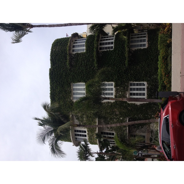 รูปถ่าย สหรัฐอเมริกา(United States) ไมแอมีบีช(Miami Beach) 2015-03 86