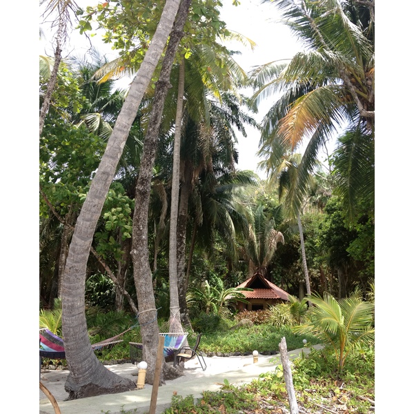 รูปถ่าย คอสตาริกา(Costa Rica) มอนเตซูมา(Montezuma) 2015-03 11