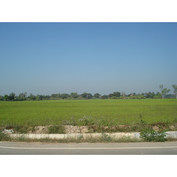 รูปถ่าย ไทย(Thailand) พิษณุโลก(Phitsanulok) 2008-01 14