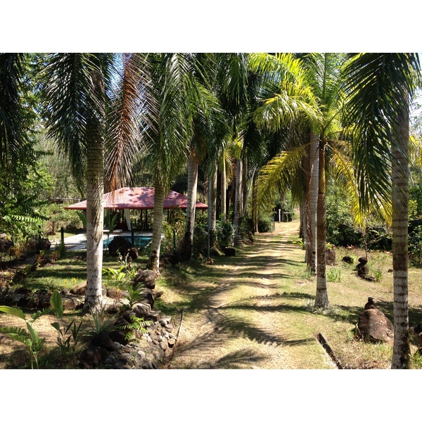 รูปถ่าย คอสตาริกา(Costa Rica) อูบีตา(Uvita) 2015-03 80