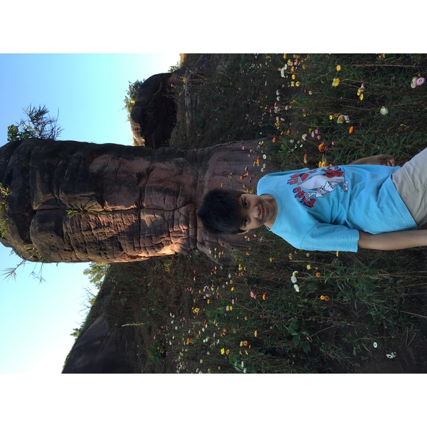 รูปถ่าย ไทย(Thailand) อุทยานแห่งชาติภูหินร่องกล้า(Phu Hin Rong Kla National Park) 2014-12 65