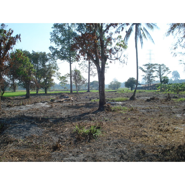 รูปถ่าย ไทย(Thailand) พิษณุโลก(Phitsanulok) 2008-01 19