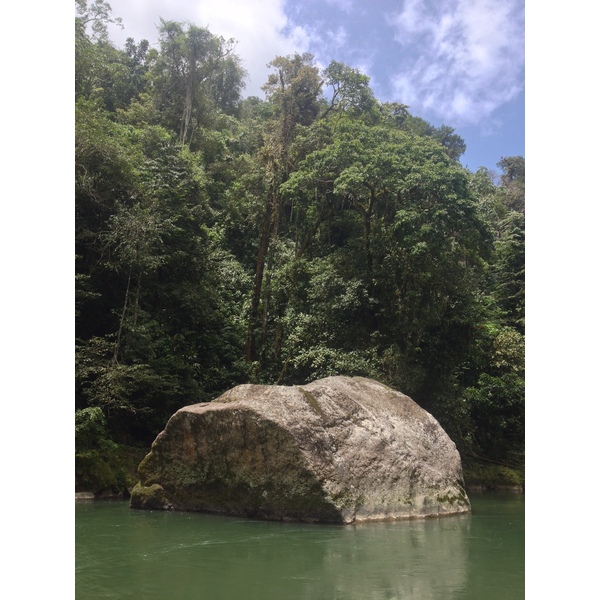 รูปถ่าย คอสตาริกา(Costa Rica) แม่น้ำปากัวเร(Pacuare River) 2015-03 146