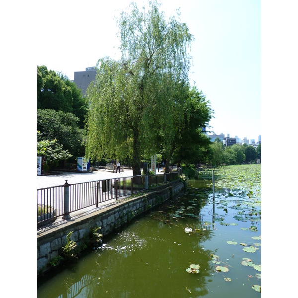 รูปถ่าย ญี่ปุ่น(Japan) โตเกียว(Tokyo) อุเอโนะ(Ueno) 2010-06 87