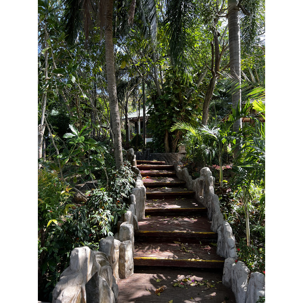 รูปถ่าย ไทย(Thailand) ภูเก็ต(Phuket) หาดกะตะ(Kata Beach) กะตะการ์เด้นรีสอร์ต(Kata Garden Resort) 2021-12 16