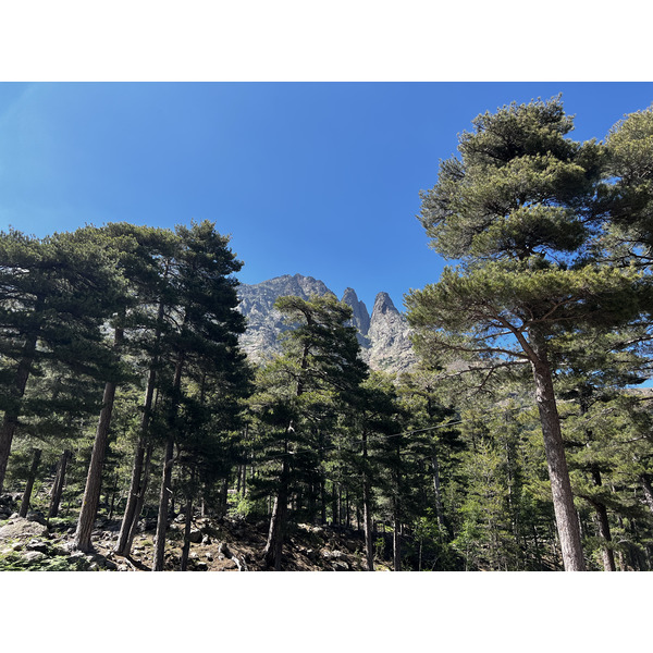 รูปถ่าย ฝรั่งเศส(France) คอร์สิคา(Corsica) อัสโก(Asco) 2023-06 40