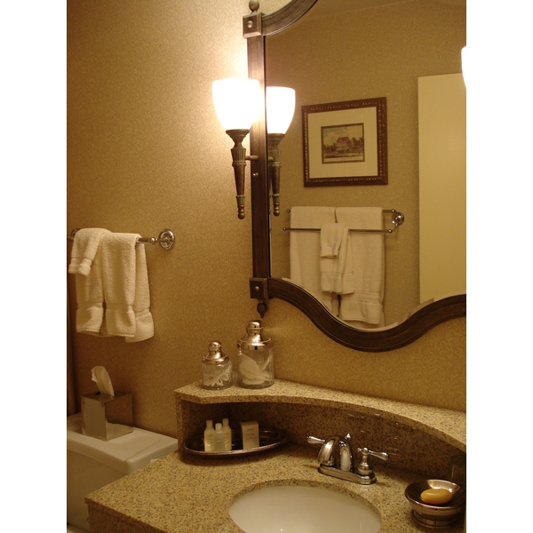 รูปถ่าย สหรัฐอเมริกา(United States) เซนต์พอล รัฐมินนิโซตา(Saint Paul Minnesota) โรงแรมเซนต์พอล(Saint Paul Hotel) 2006-03 8