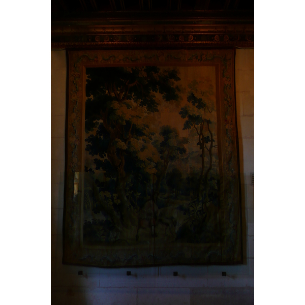 รูปถ่าย ฝรั่งเศส(France) ปราสาทเชอนงโซ(Chenonceau Castle) 2008-04 100