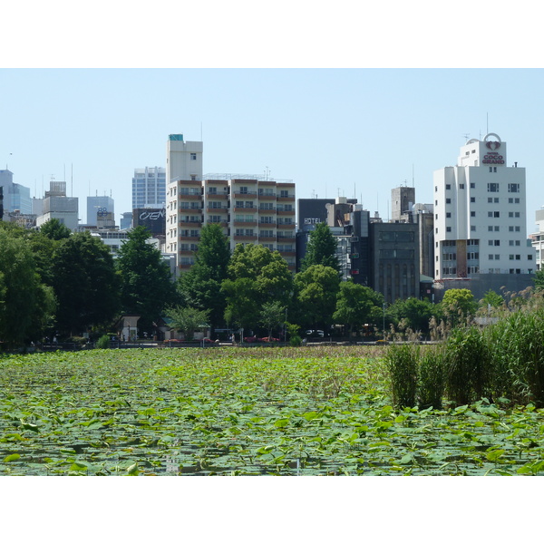 รูปถ่าย ญี่ปุ่น(Japan) โตเกียว(Tokyo) อุเอโนะ(Ueno) 2010-06 78