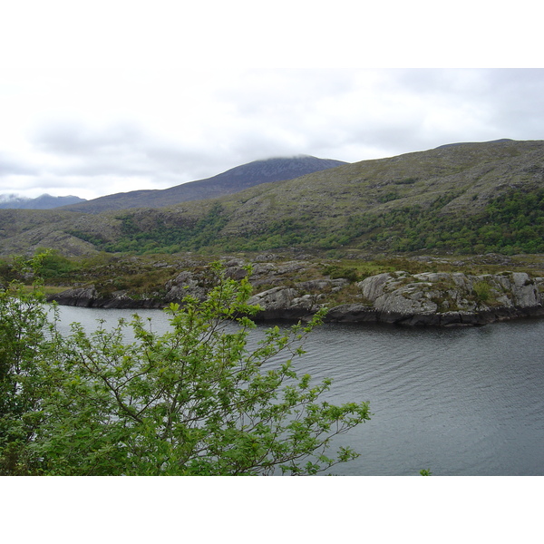 รูปถ่าย ไอร์แลนด์(Ireland) เคอร์รี่(Kerry) สวนสาธารณะคิลลาร์นีย์เนชั่นเนล(Killarney National Park) 2004-05 24