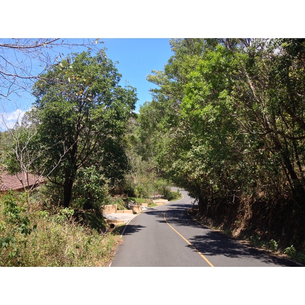 รูปถ่าย ปานามา(Panama) โบเกเต(Boquete) 2015-03 91