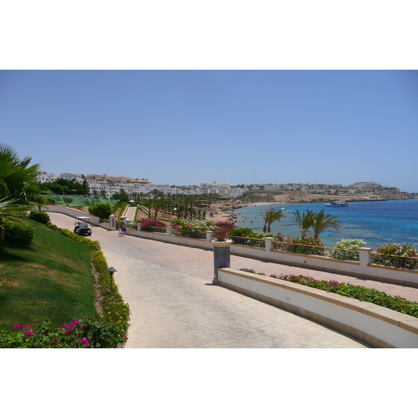 รูปถ่าย อียิปต์(Egypt) ชาร์มเอลชีค(Sharm el Sheikh) โรงแรมไฮแอต(Hyatt Hotel) 2008-06 17