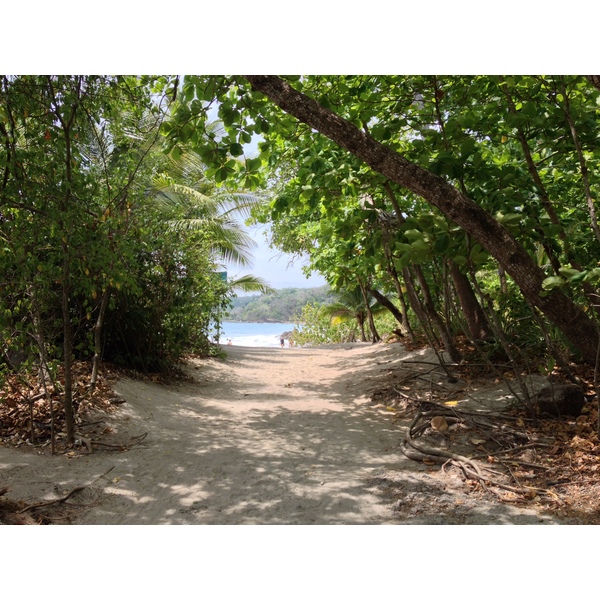 รูปถ่าย คอสตาริกา(Costa Rica) มอนเตซูมา(Montezuma) 2015-03 84