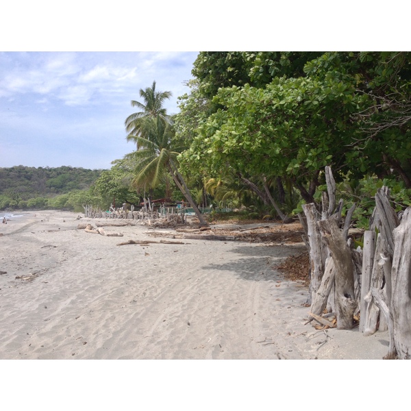 รูปถ่าย คอสตาริกา(Costa Rica) มอนเตซูมา(Montezuma) 2015-03 619