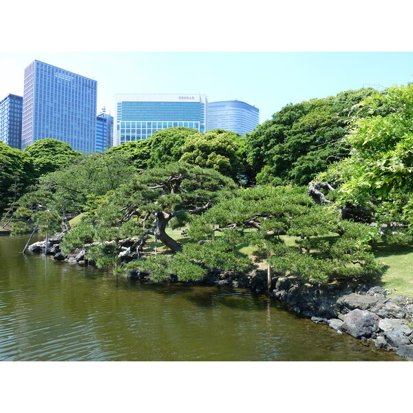 รูปถ่าย ญี่ปุ่น(Japan) โตเกียว(Tokyo) สวนฮามะริคิว(Hama rikyu Gardens) 2010-06 60