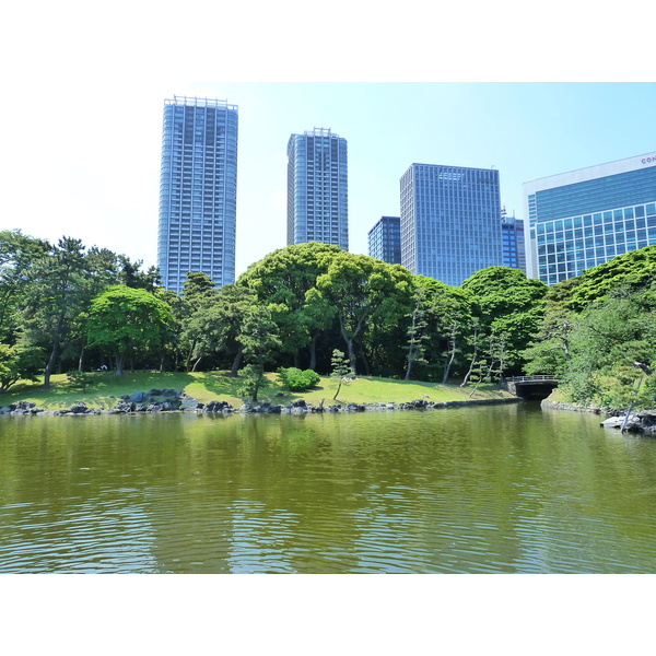 รูปถ่าย ญี่ปุ่น(Japan) โตเกียว(Tokyo) สวนฮามะริคิว(Hama rikyu Gardens) 2010-06 57